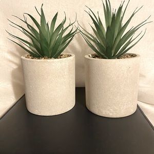 7" Green Artificial Sword Grass in Cement Colored Pot (2)